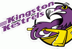 Kingston Kestrels Logo