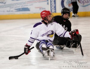 Sledge hockey player